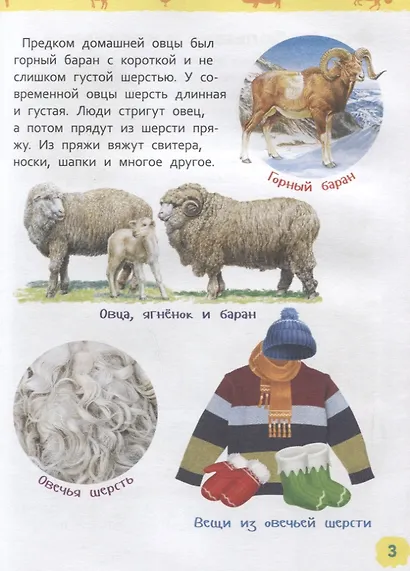 Животные фермы. Энциклопедия для детского сада - фото 2