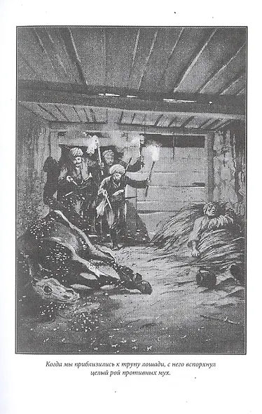 Жут. Том первый - фото 5