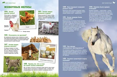 Мир животных: От актинии до ягуара - фото 8