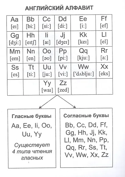 Английский язык: полный курс начальной школы - фото 2