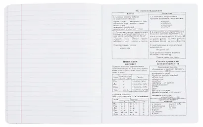 Тетрадь 48 листов, линейка, "New Black. Русский язык" - фото 2