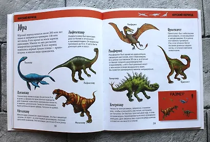 История жизни на Земле. От бактерии до человека - фото 4