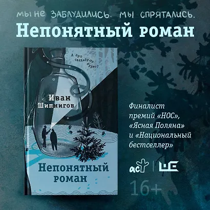 Непонятный роман - фото 12