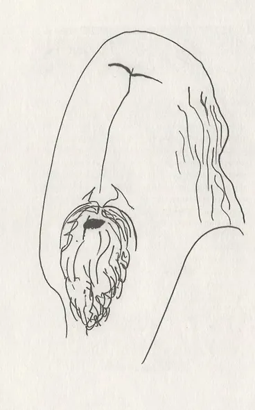 Завирухи Шишова переулка (2 изд.) (ОтделИзд) Кочергин - фото 2