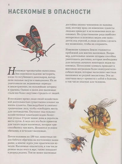 Насекомые. Лучшая энциклопедия - фото 6