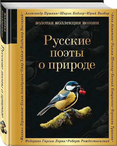 Комплект Родина моя (из 2-х книг Русские поэты о природе Стихотворения о Родине) - фото 5