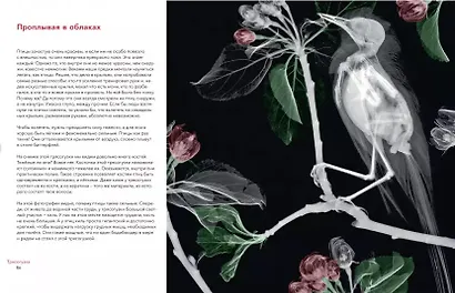 Вижу насквозь. Уникальные рентгеновские снимки животных - фото 7