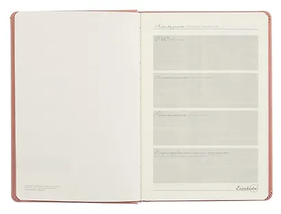 Ежедневник недат. А5 160л "Буйвол" пепельно-розовый, бежевый, кожзам, тв.переплет, блинтовое тиснение, офсет, ляссе - фото 5