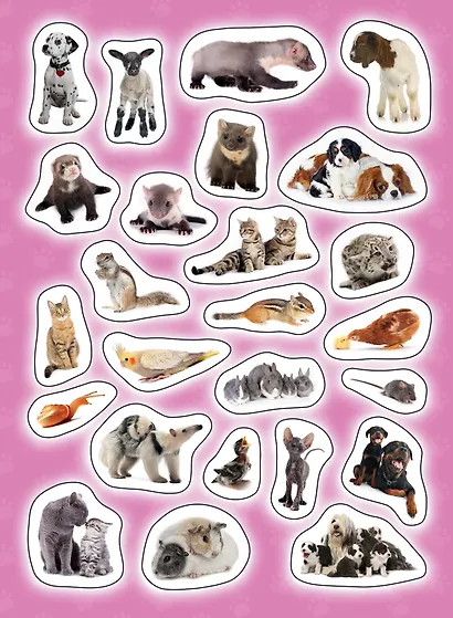 Мамы и малыши - фото 3