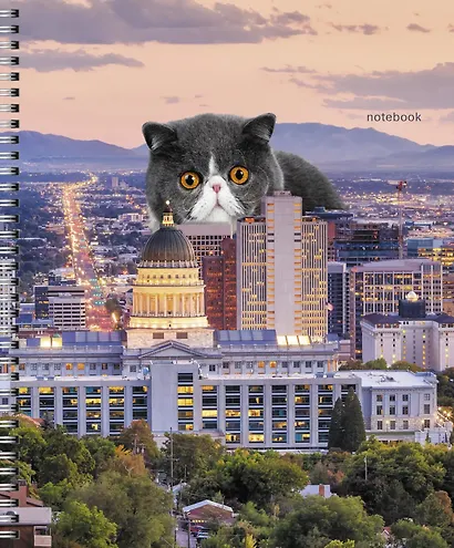 Тетрадь в линейку Listoff, "Коты в городе!", 60 листов, в ассортименте - фото 3