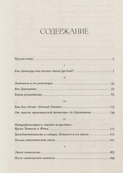 Полка: История русской поэзии - фото 3