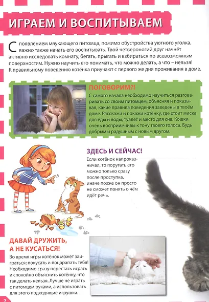 Кошки и котята - фото 4