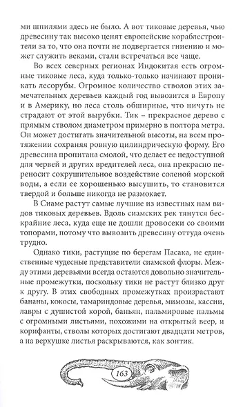 Город Прокаженного короля - фото 9