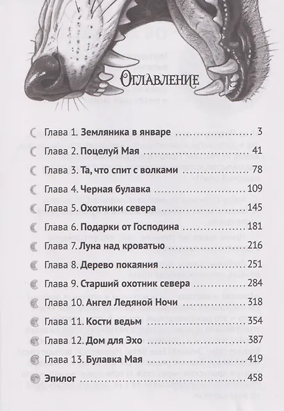 Тринадцать месяцев - фото 7