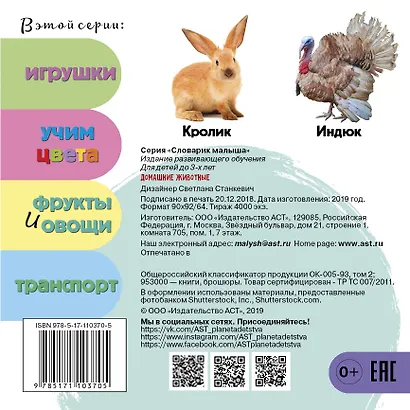 Домашние животные - фото 2