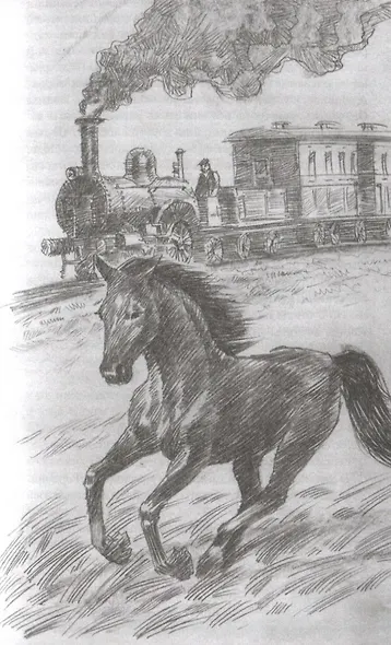 Черный Красавчик - фото 2