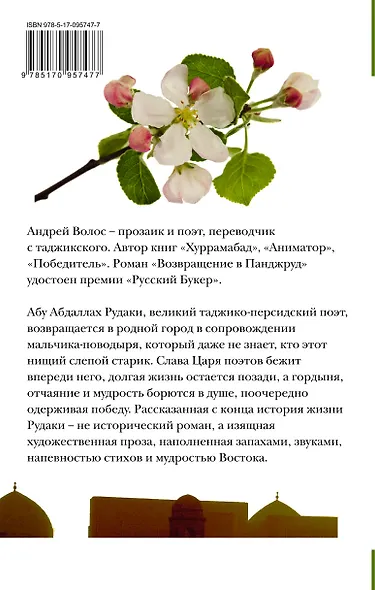 НовРусКлассика Волос Возвращение в Панджруд (РУССКИЙ БУКЕР) - фото 2