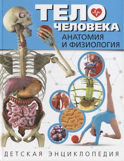 Тело человека. Анатомия и физиология. Детская энциклопедия - фото 1
