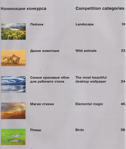 Россия самая красивая страна. Фотоконкурс 2025 - фото 13