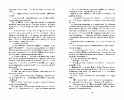 Коты-воители. Цикл Начало племен. Время выбора - фото 11