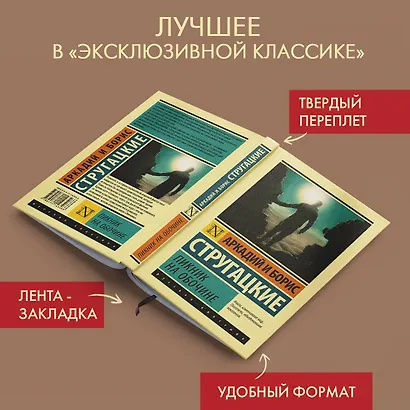 Пикник на обочине - фото 4