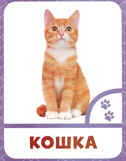 Животные фермы - фото 4