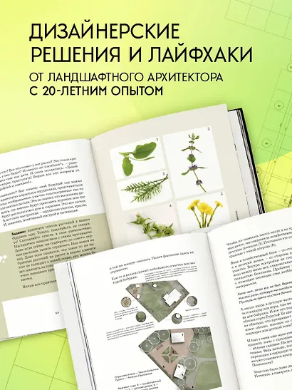 Сад в проекте. Пошаговый курс по проектированию сада мечты: от задумки до воплощения - фото 5
