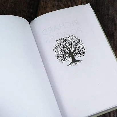 Верхний ярус - фото 9