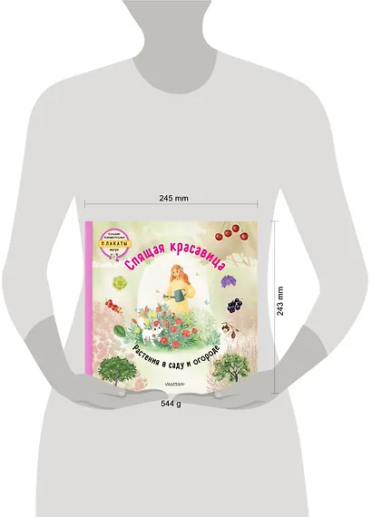 Спящая красавица - фото 8