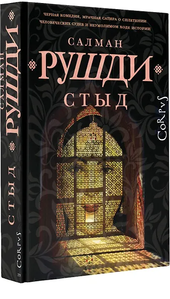 Стыд: роман - фото 3