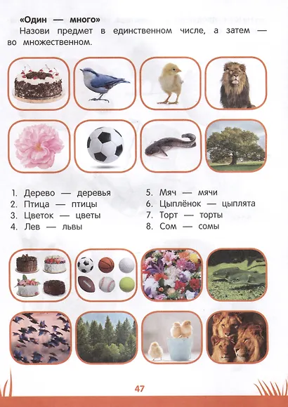 Энциклопедия дошкольника. 4-5 лет - фото 6