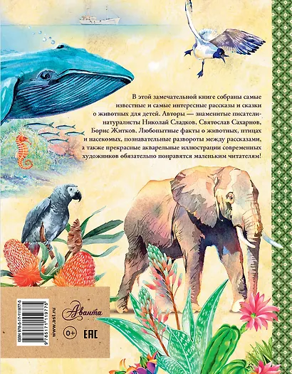 Рассказы и сказки о животных - фото 2
