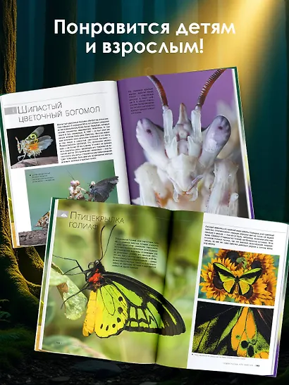 Большая книга о насекомых. 1001 фотография - фото 5