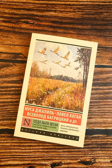 Тогда была весна. Стихи поэтов, павших на Великой Отечественной войне - фото 5