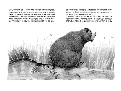 Кот-ворюга. Рассказы и сказки - фото 11