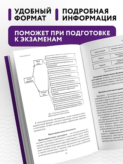 Правоохранительные органы в схемах и определениях. 3-е издание - фото 5