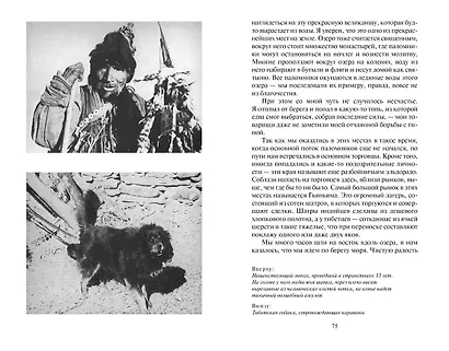 Семь лет в Тибете - фото 10