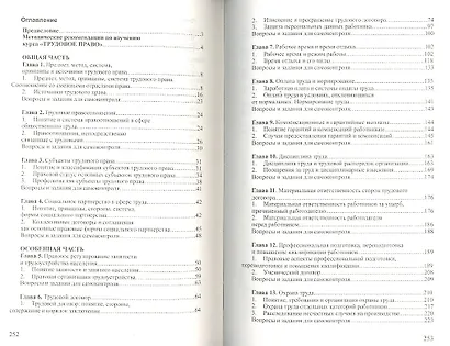 Трудовое право России: Учебное пособие - (Высшее образование: Бакалавриат) /Городилина И.А. - фото 2