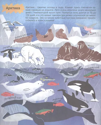 Загадочный океан - фото 5