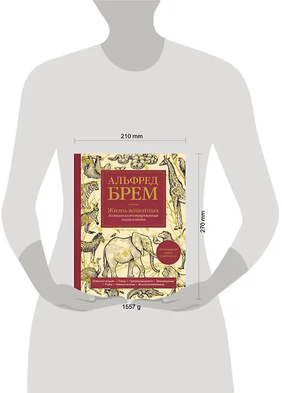 Жизнь животных. Большая иллюстрированная энциклопедия - фото 5