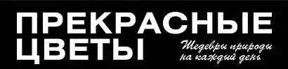 Прекрасные цветы. Шедевры природы на каждый день - фото 4