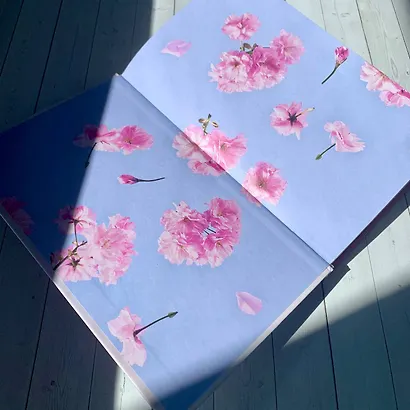 Новые райские кущи - фото 10