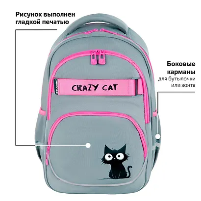 Рюкзак школьный для девочек "Crazy cat" 41*28*17см, 2 отделения, 3 кармана, с карманом для ноутбука, Brauberg - фото 2