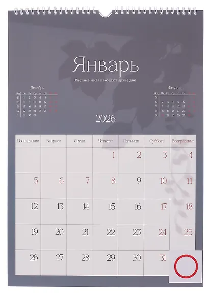 Календарь 2026г 297*420 "Shadow" настенный, на спирали - фото 6