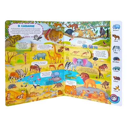 Животные - фото 4