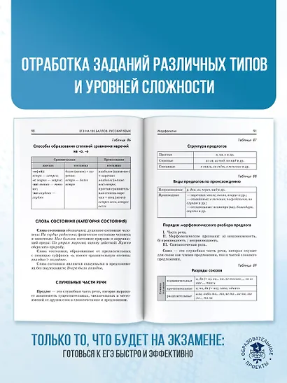 ЕГЭ. Русский язык. ЕГЭ на 100 баллов. Справочник: Теория и практика - фото 6