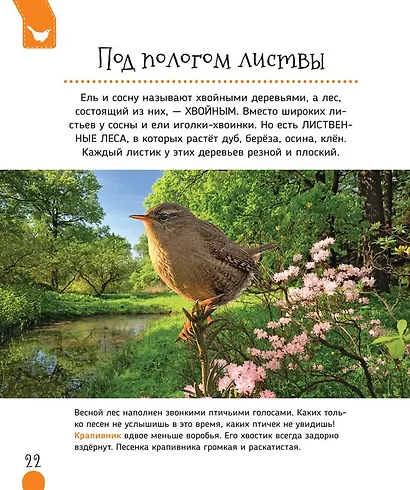 Животные России - фото 4