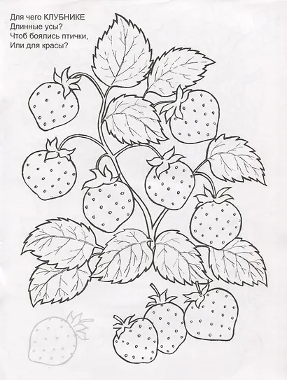 Летний сад. Раскраска с наклейками - фото 5