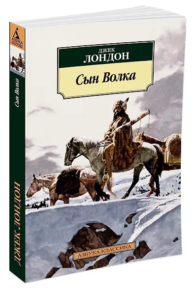 Сын Волка - фото 2