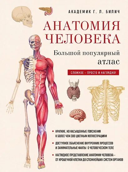 Анатомия человека: большой популярный атлас (новое оформление) - фото 1